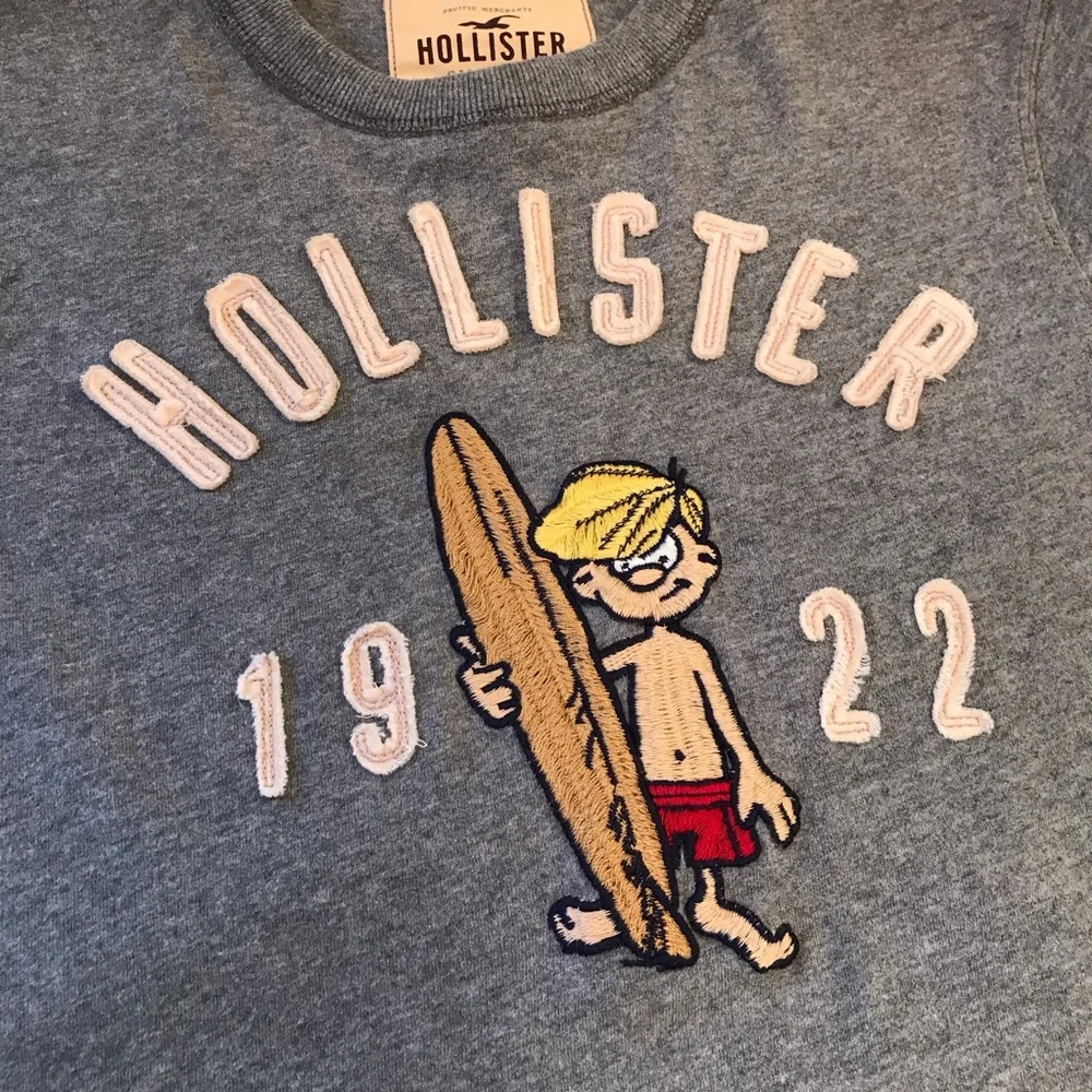 Vintage Y2K Hollister Embroidered Surfer Man Tee Gray